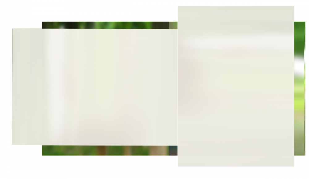 hg_galerie_1200.png
